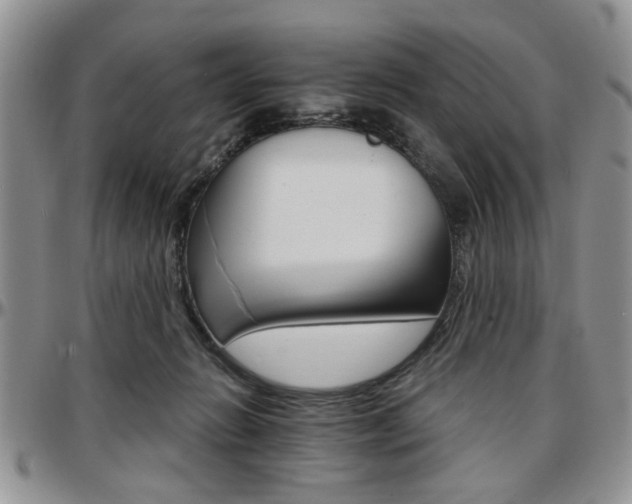 X0000097670270200802291507