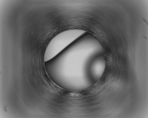 X0000097670272200802291507