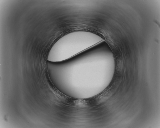 X0000097670273200802291507