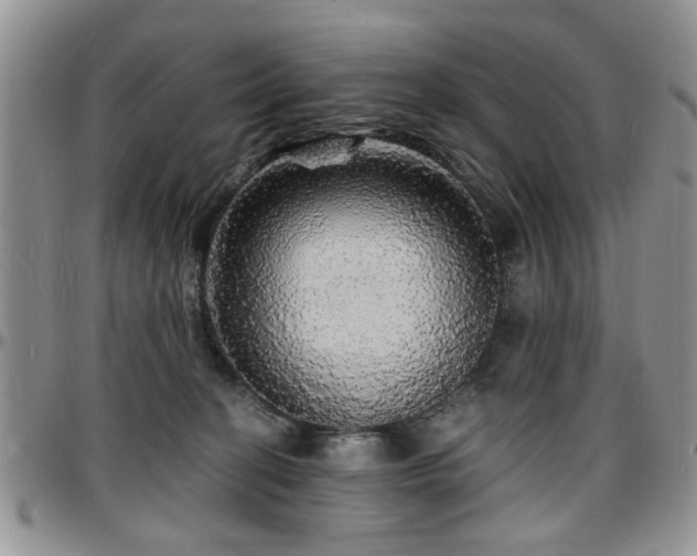 X0000097670274200802291507