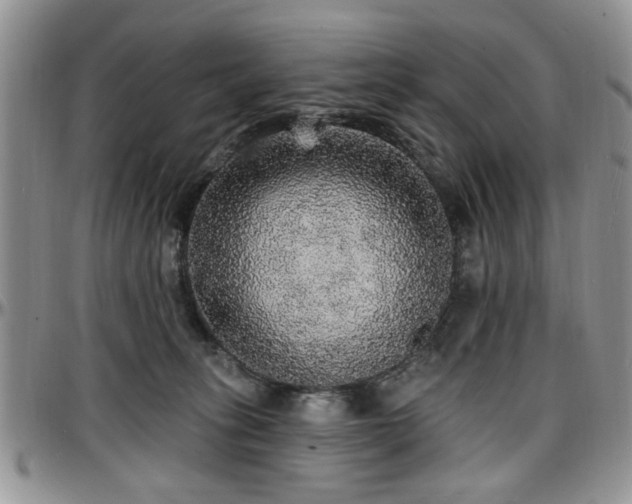 X0000097670275200802291507