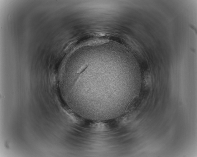 X0000097670276200802291507