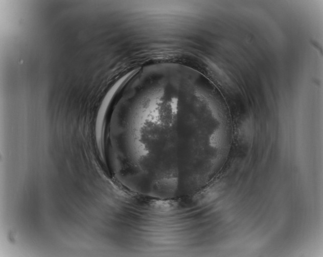 X0000097670277200802291507