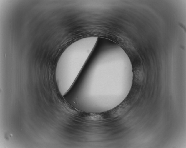 X0000097670278200802291507