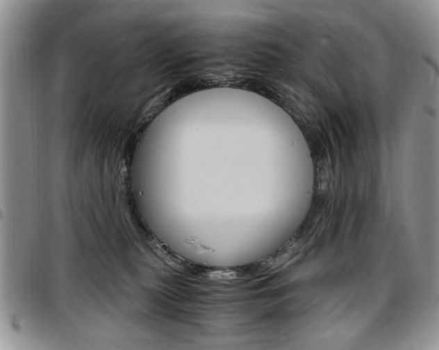 X0000097670279200802291507