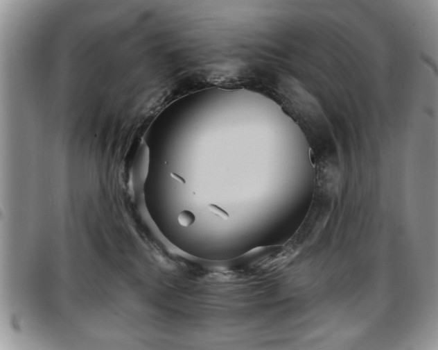X0000097670280200802291507