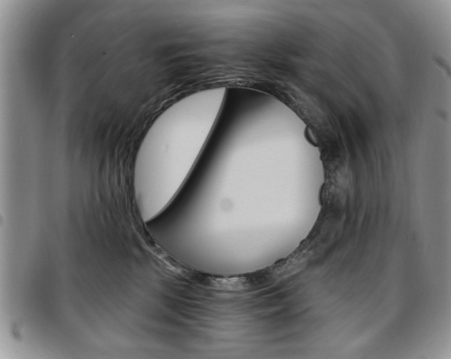 X0000097670281200802291507