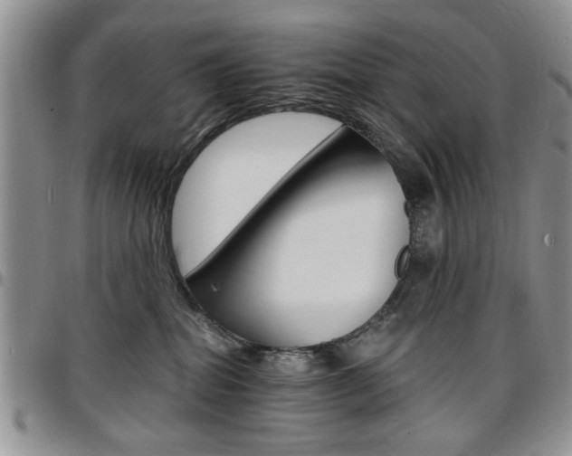 X0000097670282200802291507
