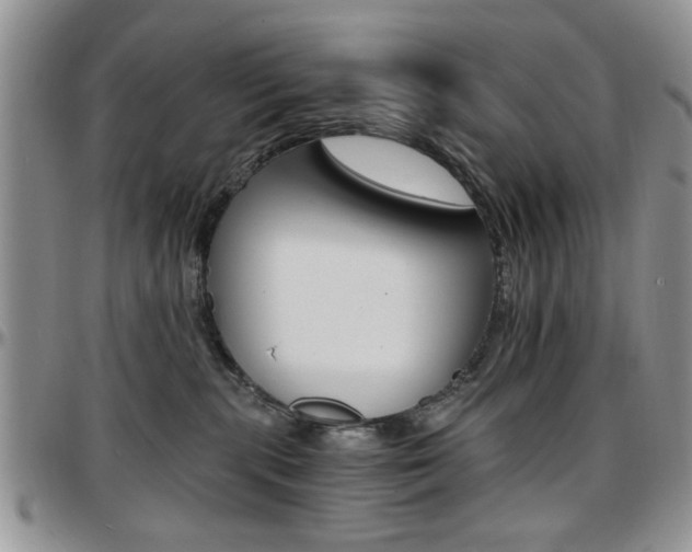 X0000097670283200802291507