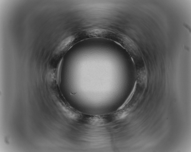 X0000097670284200802291507