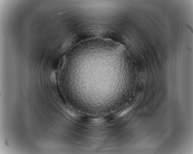 X0000097670286200802291507