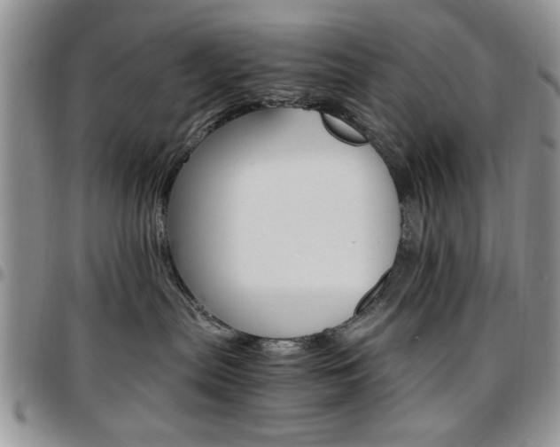 X0000097670287200802291507