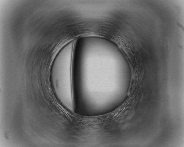 X0000097670289200802291507
