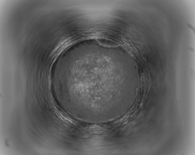X0000097670290200802291507