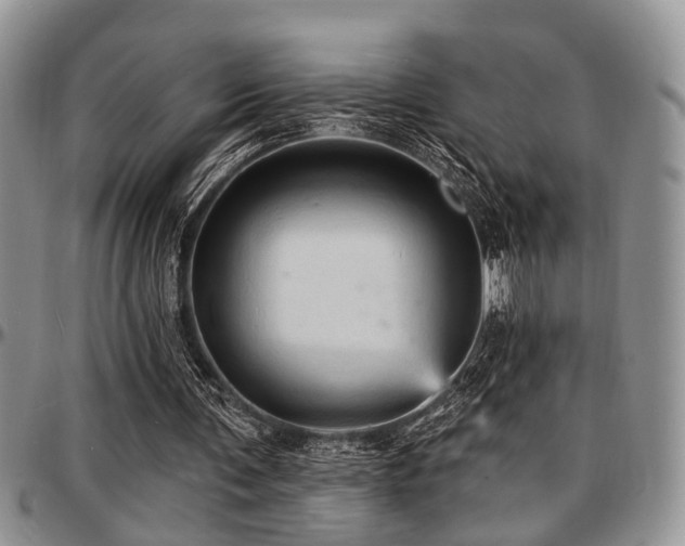 X0000097670291200802291507