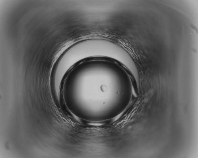 X0000097670292200802291507
