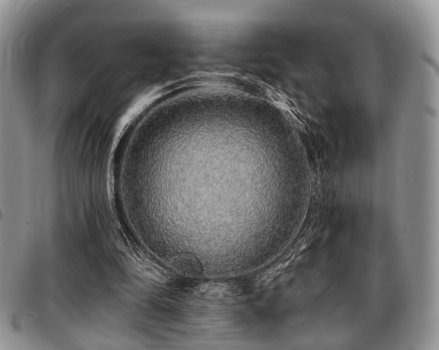 X0000097670294200802291507