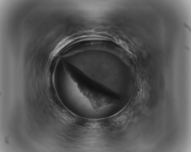 X0000097670295200802291507