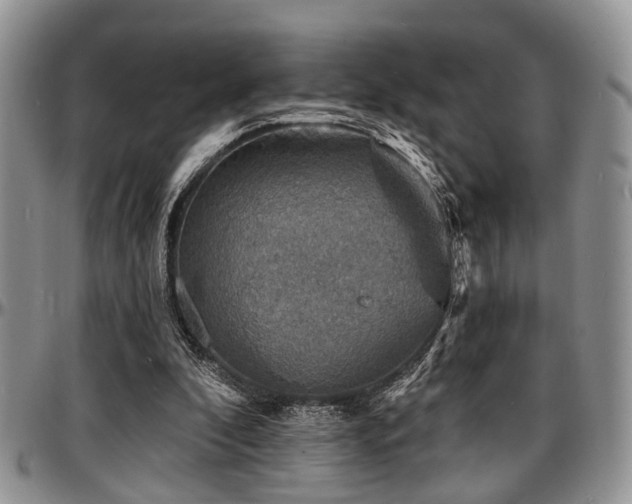 X0000097670296200802291507