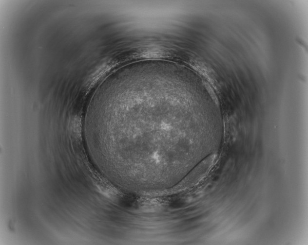 X0000097670297200802291507