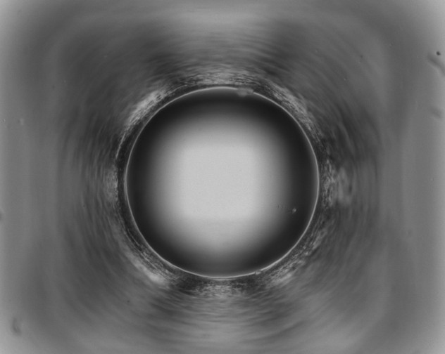 X0000097670298200802291507