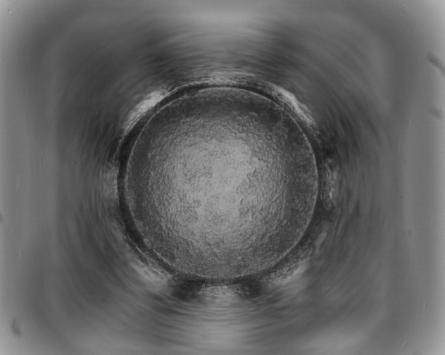 X0000097670299200802291507