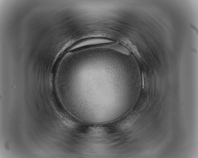 X0000097670300200802291507