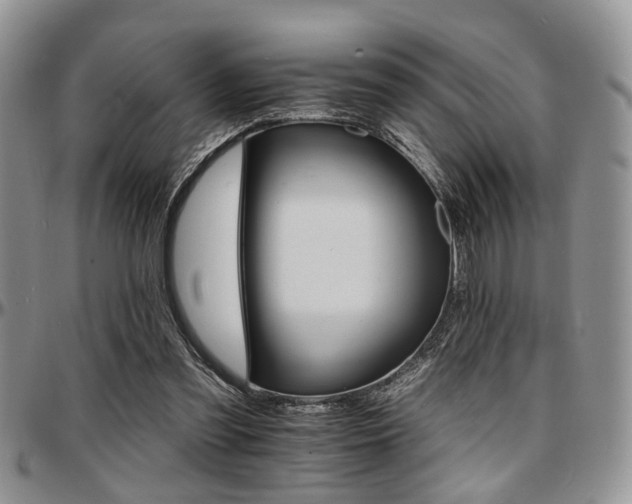 X0000097670301200802291507