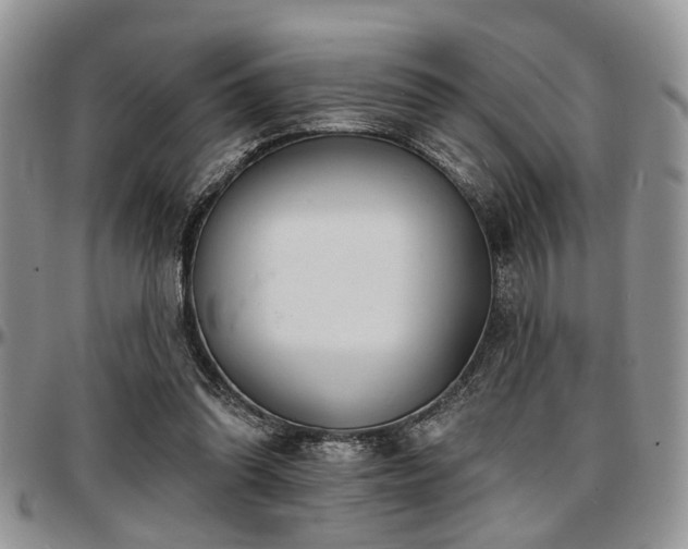 X0000097670302200802291507