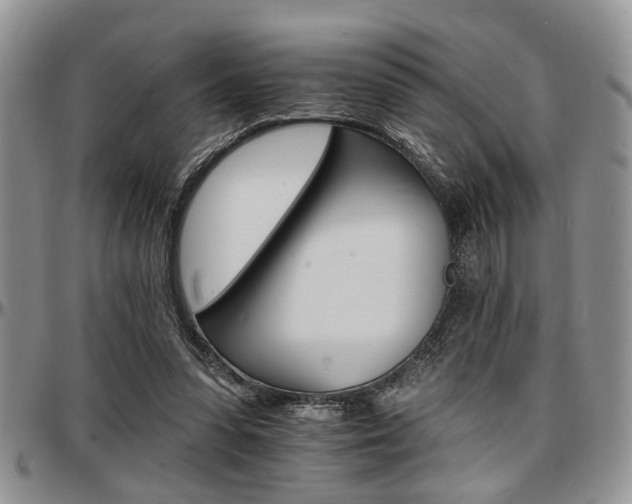 X0000097670303200802291507
