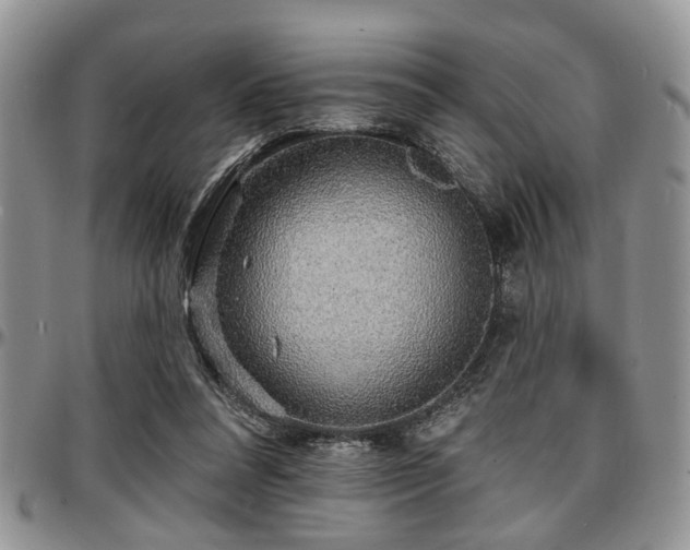 X0000097670304200802291507