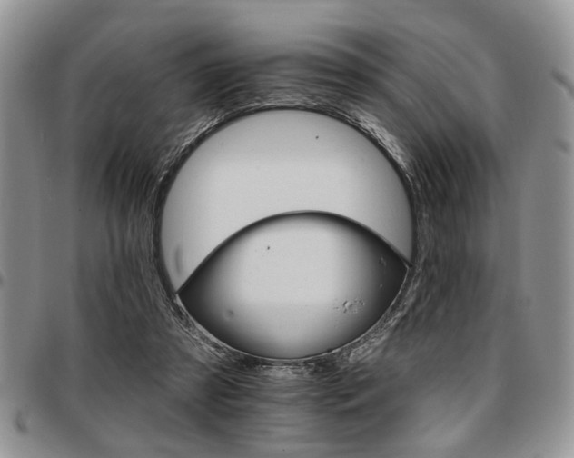 X0000097670305200802291507