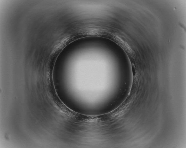 X0000097670306200802291506