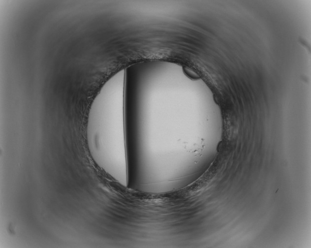 X0000097670307200802291506