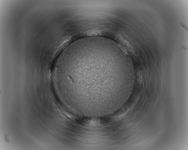 X0000097670308200802291506