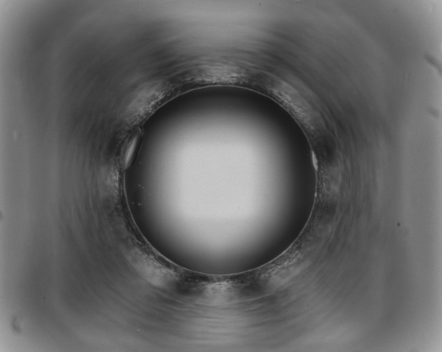 X0000097670309200802291506