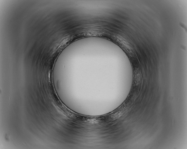 X0000097670310200802291506
