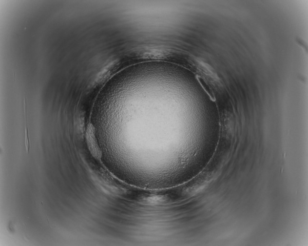 X0000097670312200802291506