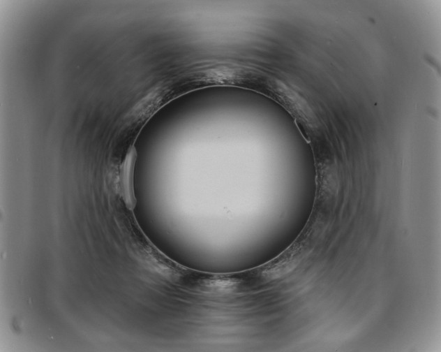 X0000097670313200802291506