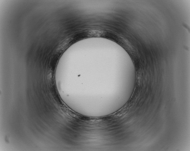 X0000097670314200802291506