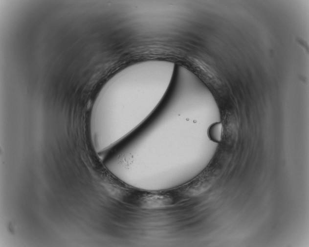 X0000097670315200802291506