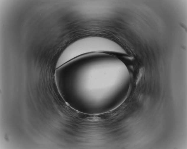 X0000097670316200802291506