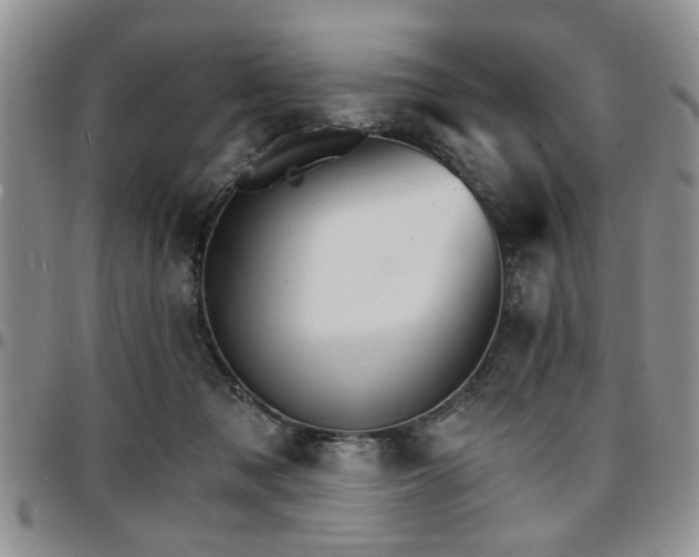 X0000097670317200802291506