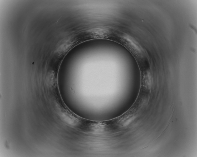 X0000097670318200802291506