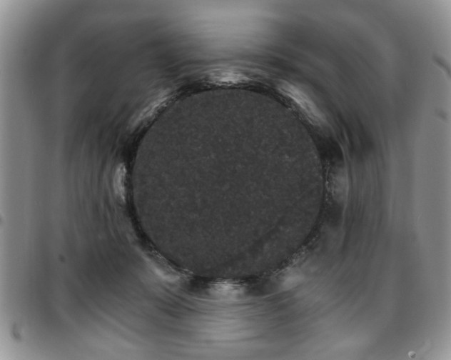 X0000097670319200802291506