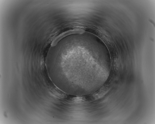 X0000097670320200802291506