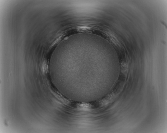 X0000097670324200802291506