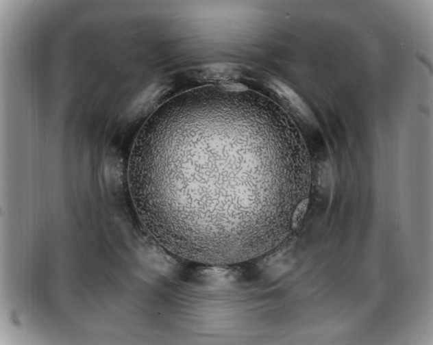 X0000097670326200802291506