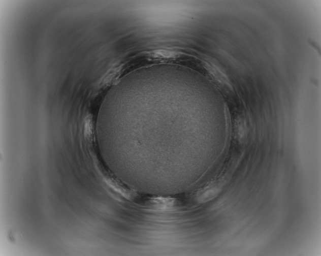 X0000097670328200802291506