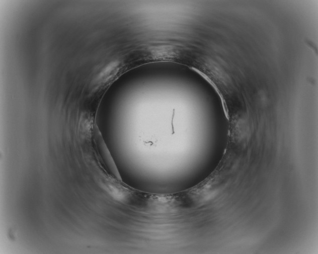 X0000097670329200802291506